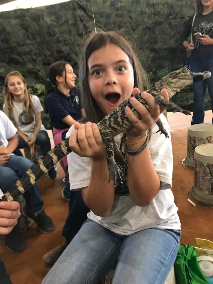Have you ever held an alligator? If you went to Ag-Ventures, you could.